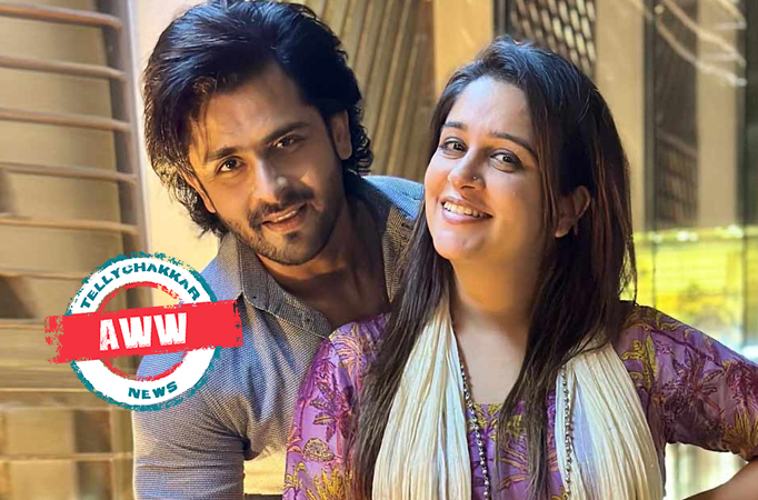 Dipika Kakar, Shoaib Ibrahim