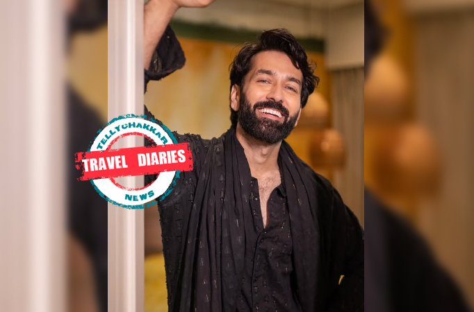 Nakuul Mehta