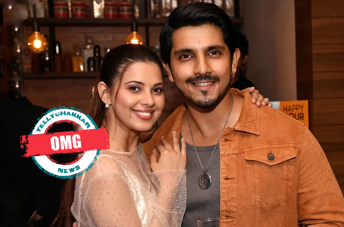 Kanwar Dhillon, Alice Kaushik