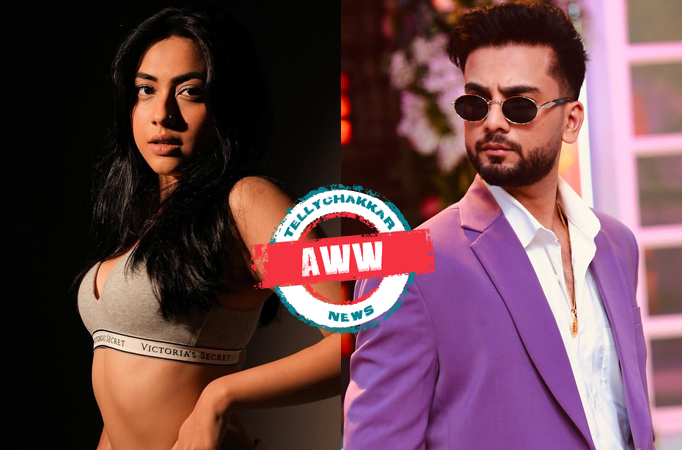 Reem Sheikh, Elvish Yadav