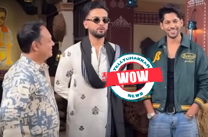 Baseer Ali, Zeishan Quadri, Elvish Yadav