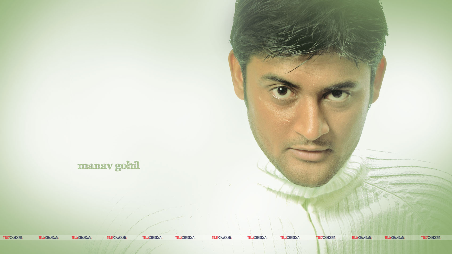 Manav Gohil