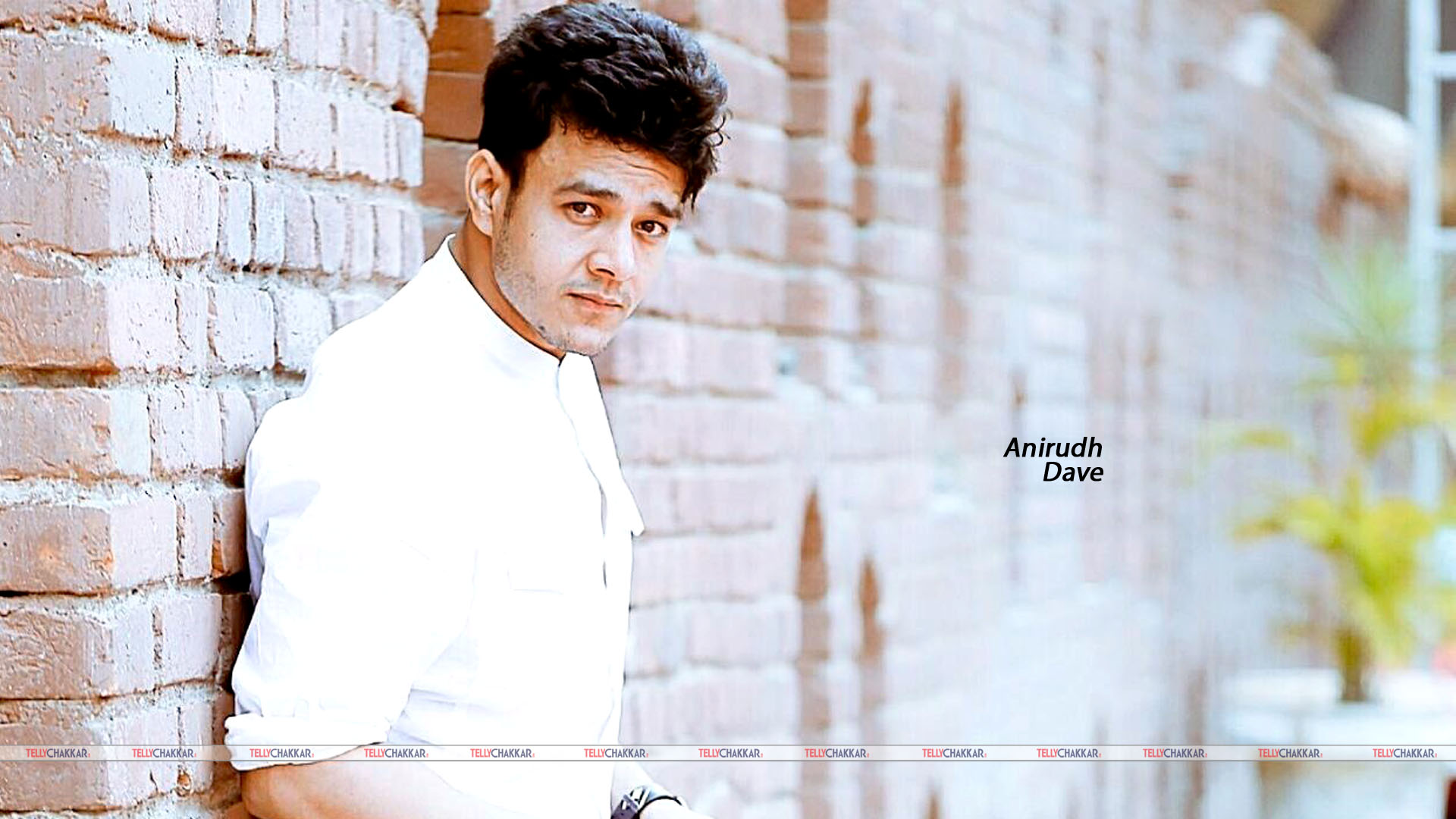 Aniruddh Dave 