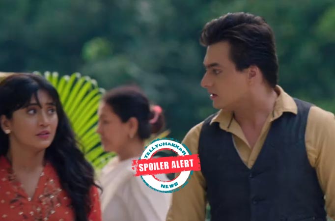 Yeh Rishta Kya Kehlata Hai: Kartik defends Naira in court, bursts at Damini 