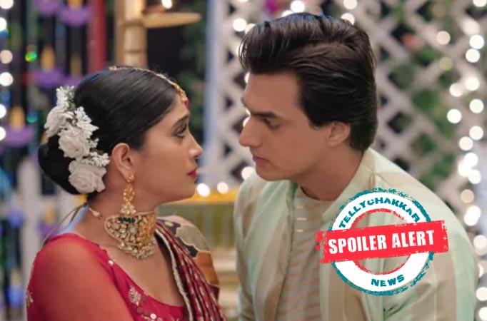 Yeh Rishta Kya Kehlata Hai: Happy moments in Kartik and Naira's life