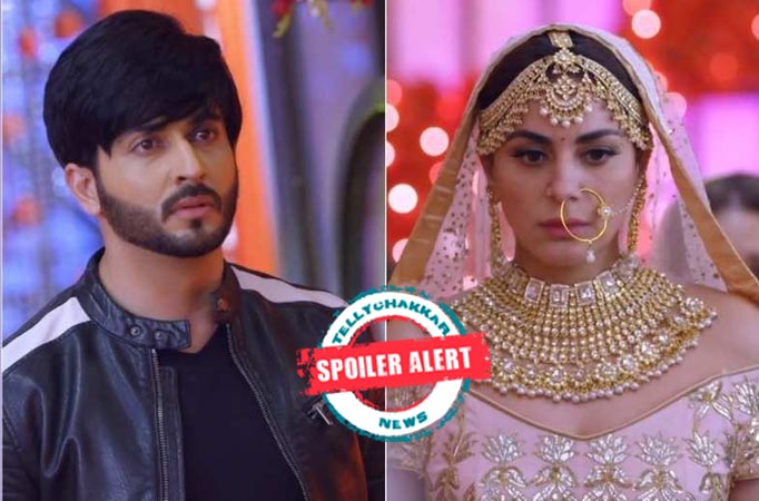 Kundali Bhagya: Preeta's new challenge to transform Karan's hatred into love!