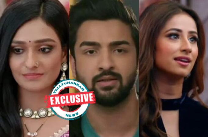 Bhagya Laxmi: Exclusive! Lakshmi and Rishi enjoy cute romantic shower together; Malishka gets jealous and angry