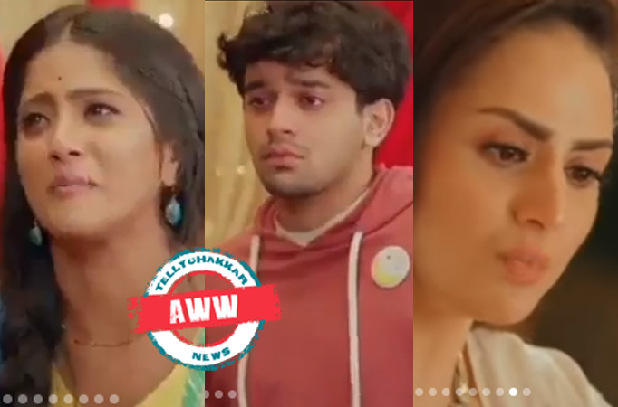 Banni Chow Home Delivery: Aww! Banni and Yuvan show their affections for each other, Manini fails to stop the wedding