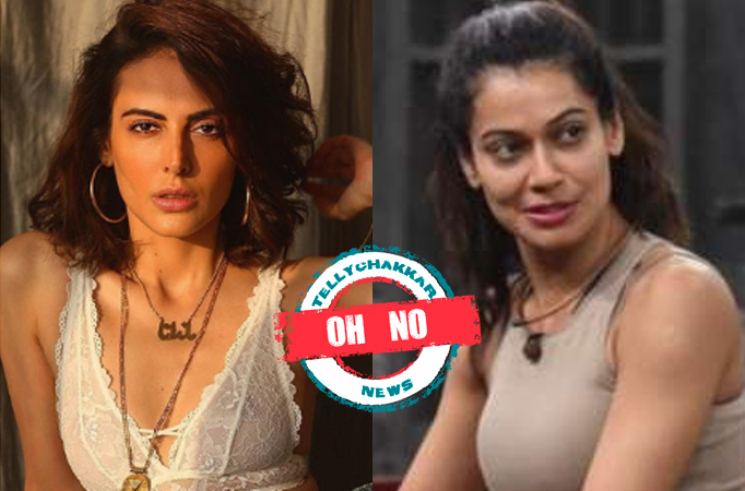 Oh no! Lock Upp: Mandana Karimi and Payal Rohatgi have a face-off