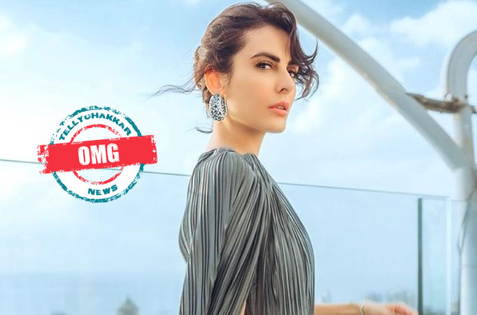 OMG! Lock Upp: Mandana Karimi makes a shocking revelation about her jail experience