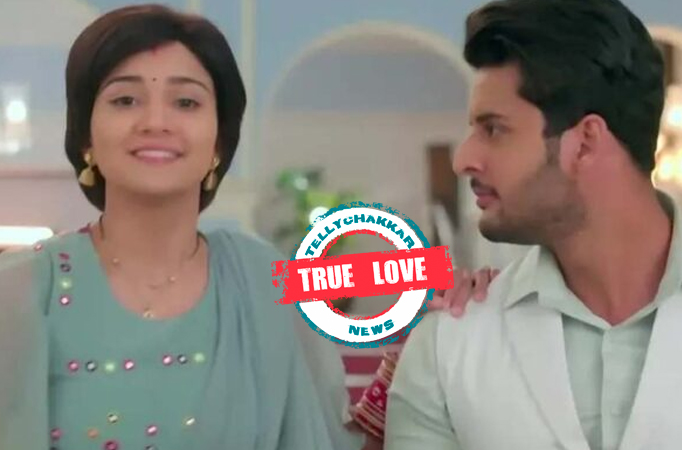 Meet: True Love! Meet Hooda saves Meet Ahlawat from the goons