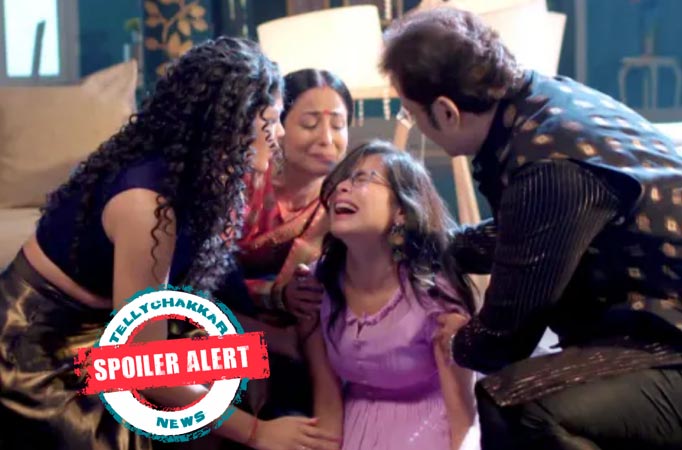 Yeh Rishtey Hain Pyaar Ke: Nanu and Mishti's perfect relation