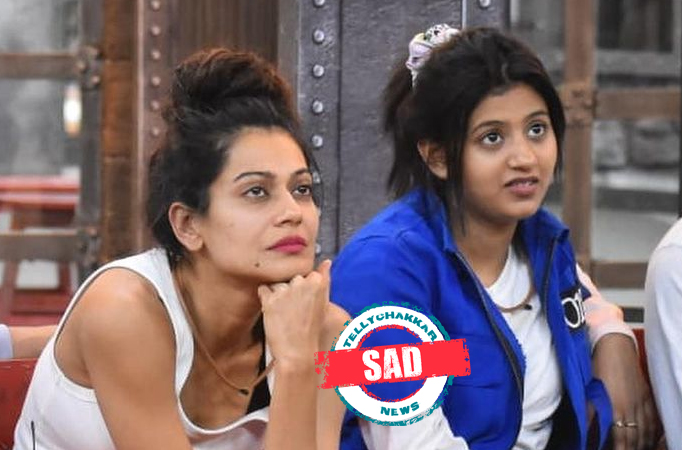 Sad! Lock Upp: Payal Rohatgi and Anjali Arora got into an ugly and personal fight