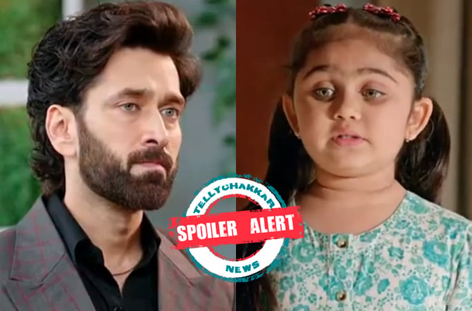 Bade Achhe Lagte Hain 2: Ram gets suspicious by Pihu’s statement