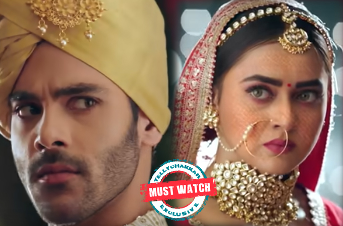 Naagin 6: Must Watch! Rishabh confesses his love for Pratha in the mandap, Ritesh has an ugly fight with him