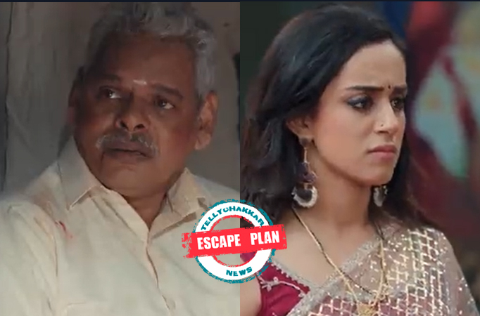 Yeh Hai Chahatein: Escape Plan! GPS finds a way to talk to Preesha