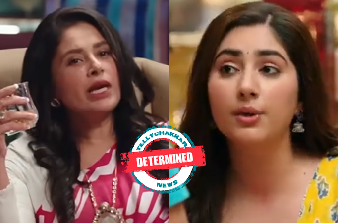 Bade Acche Lagte Hain 2: Determined! Priya decides to fight for her rights, wants to expose Nandini