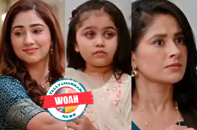 Bade Acche Lagte Hain 2: Whoa! Priya wants to safeguard Pihu from Nandini’s manipulations