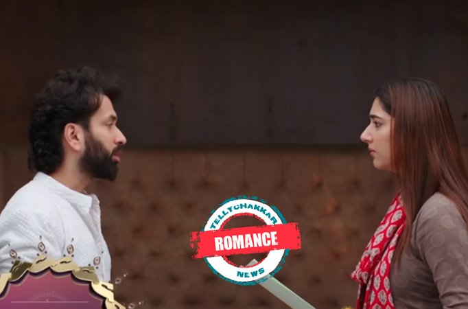 Bade Achhe Lagte Hain 2: ROMANCE!!! Ram and Priya are on the edge of CONFESSION of their LOVE