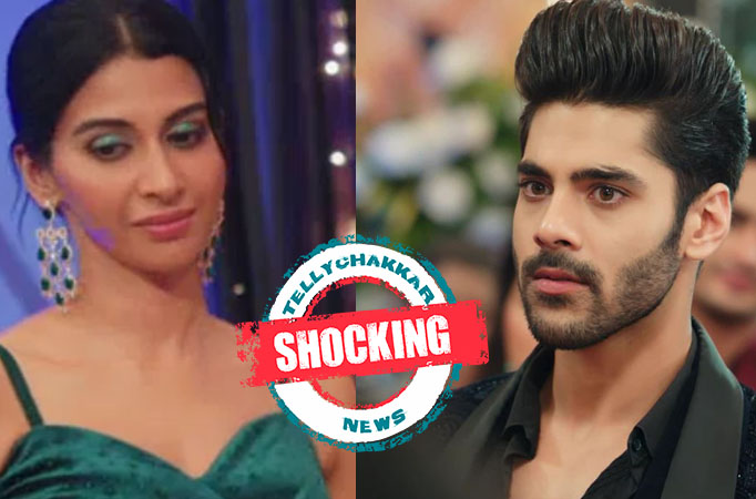 Naagin 6: Shocking! Reem to spy behind Rishabh, what will she do next? 