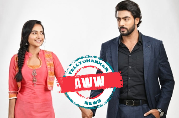 Rishton Ka Manjha: AWW! Diya-Arjun's love breaks all odds 