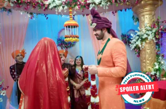 Kahaan Hum Kahaan Tum: Rohit and Sonakshi happily married and Raima kicked out