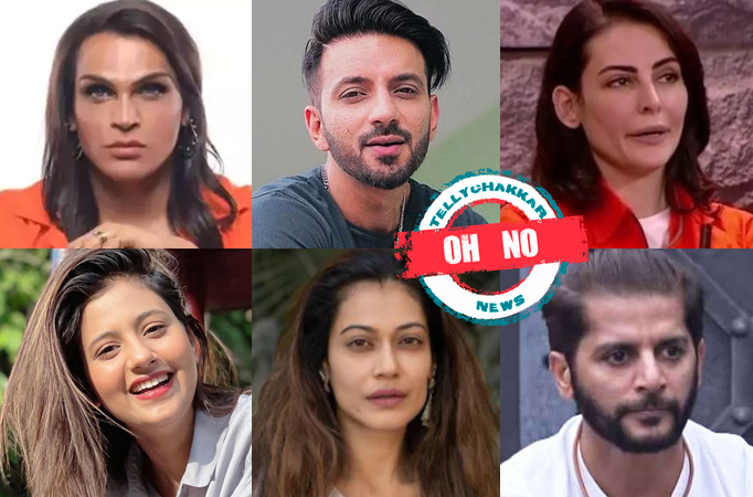 Lock Upp Season 1: Oh No! Saisha Shinde, Ali Merchant, Mandana Karmi and Anjali Arora dissect Payal Rohatgi and Karanvir Bhora’s