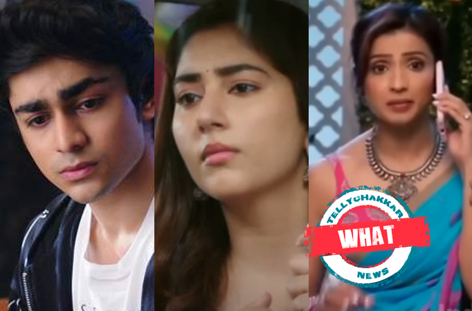 Bade Acche Lagte Hain 2: What! Ishaan’s plan fails, Priya wants Sara to get married at the earliest