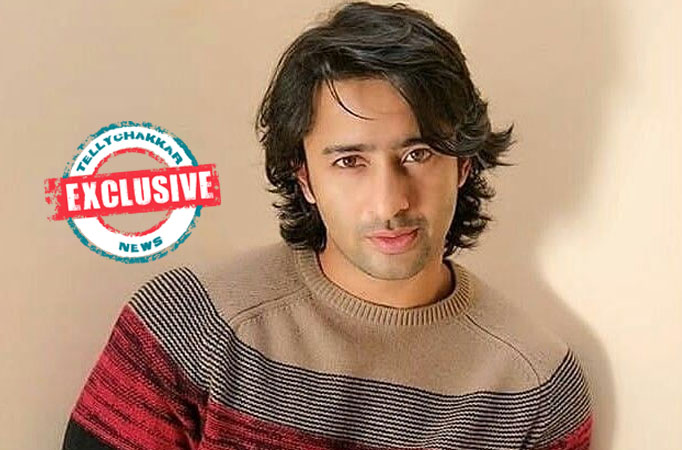 Exclusive! “I would definitely love to meet Madhubala if I ever got a chance to go in the past” Shaheer Sheikh meeting a persona