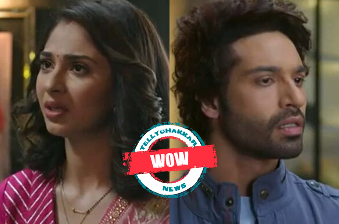 Mose Chhal Kiye Jaaye: Wow! Soumya makes Armaan tear the divorce papers, plans to entrap Armaan to expose him in front of the wo