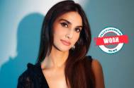 Whoa! From luxurious lifestyle to salary per film, all you need to know about Shamshera fame Vaani Kapoor