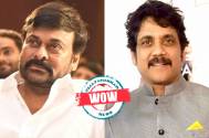 Wow! “There is no competition” says Chiranjeevi on his film GodFather clasing with Akkineni Nagarjuna’s ‘The Ghost’