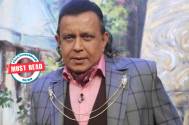 Mithun 