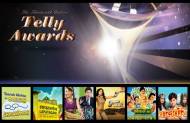 Best Sitcom/Comedy Programme (Fiction) at 13th Indian Telly Awards