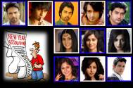 TV actors and their New Year