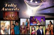 13th Indian Telly Awards: Best Daily Serial