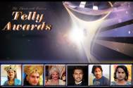 13th Indian Telly Awards: Best Actor in a Supporting Role (Drama)
