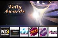 13th Indian Telly Awards: Best Youth Show (Fiction)