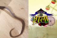 When Karan V Grover caught a snake on the sets of Rishton Ka Mela 