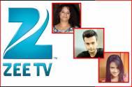 After Anamika, Trishula Productions gears up for a fiction show on Zee TV