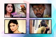 Regressive shows rule the TRP ladder- Experts from the industry analyze