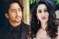 Shaheer Sheikh and Erica Fernandes are BACK!