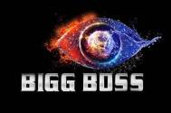  Bigg Boss 13
