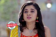 Guddan Tumse Na Ho Payega: Dadi scolds Guddan for giving her shocks
