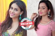 Rachana Parulkar to replace Chhavi Pandey in Star Plus’ Namah 