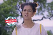 Guddan Tumse Na Ho Payega: Alisha, Parv and Revati get disappointed as their plan fails