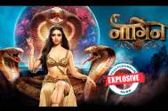 EXPLOSIVE NEWS! Colors' Naagin 6 to have a title change; fans suggest the new title? 