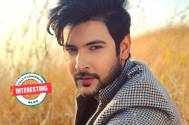 Interesting! Can you guess which two TV beauties would be Shivin Narang's favourite costars?