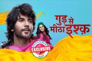 EXCLUSIVE! Star Bharat's Gud Se Meetha Ishq to wrap up, last day of the shoot to commence on THIS date 