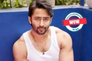 WOW! Shaheer Sheikh takes a break from Woh To Hai Albelaa; here's what he is doing these days 
